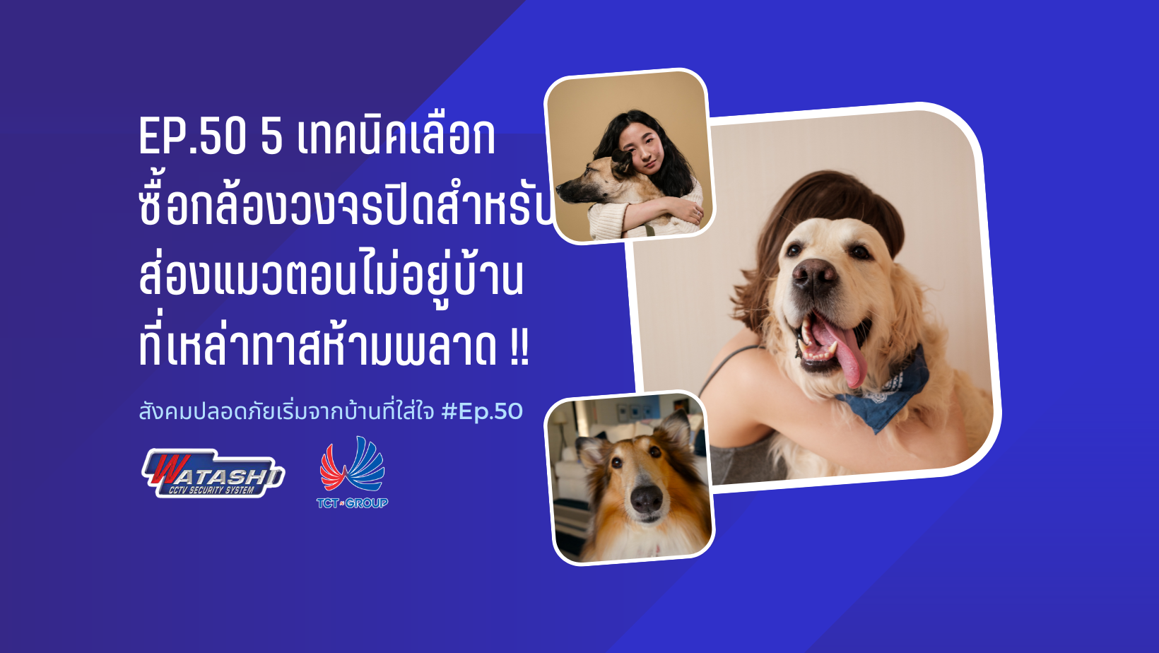 5 เทคนิค เลือกซื้อกล้องวงจรปิด สำหรับส่องแมวตอนไม่อยู่บ้าน ที่เหล่าทาสห้ามพลาด !! l EP.50