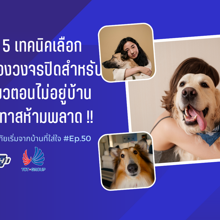 5 เทคนิค เลือกซื้อกล้องวงจรปิด สำหรับส่องแมวตอนไม่อยู่บ้าน ที่เหล่าทาสห้ามพลาด !! l EP.50