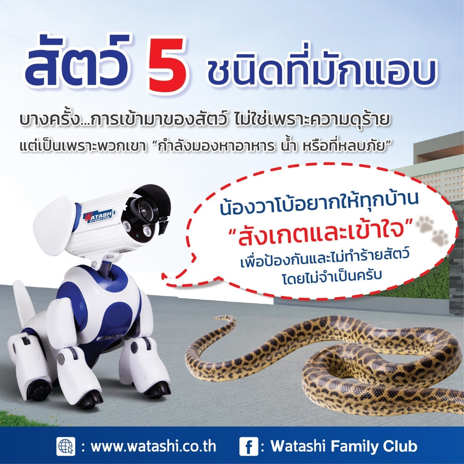 สัตว์เข้าบ้าน 5 ชนิด รับมือยังไง? เปิดวิธีป้องกัน งู ลิง ช้าง หมาจร และตะกวด แบบถูกวิธี